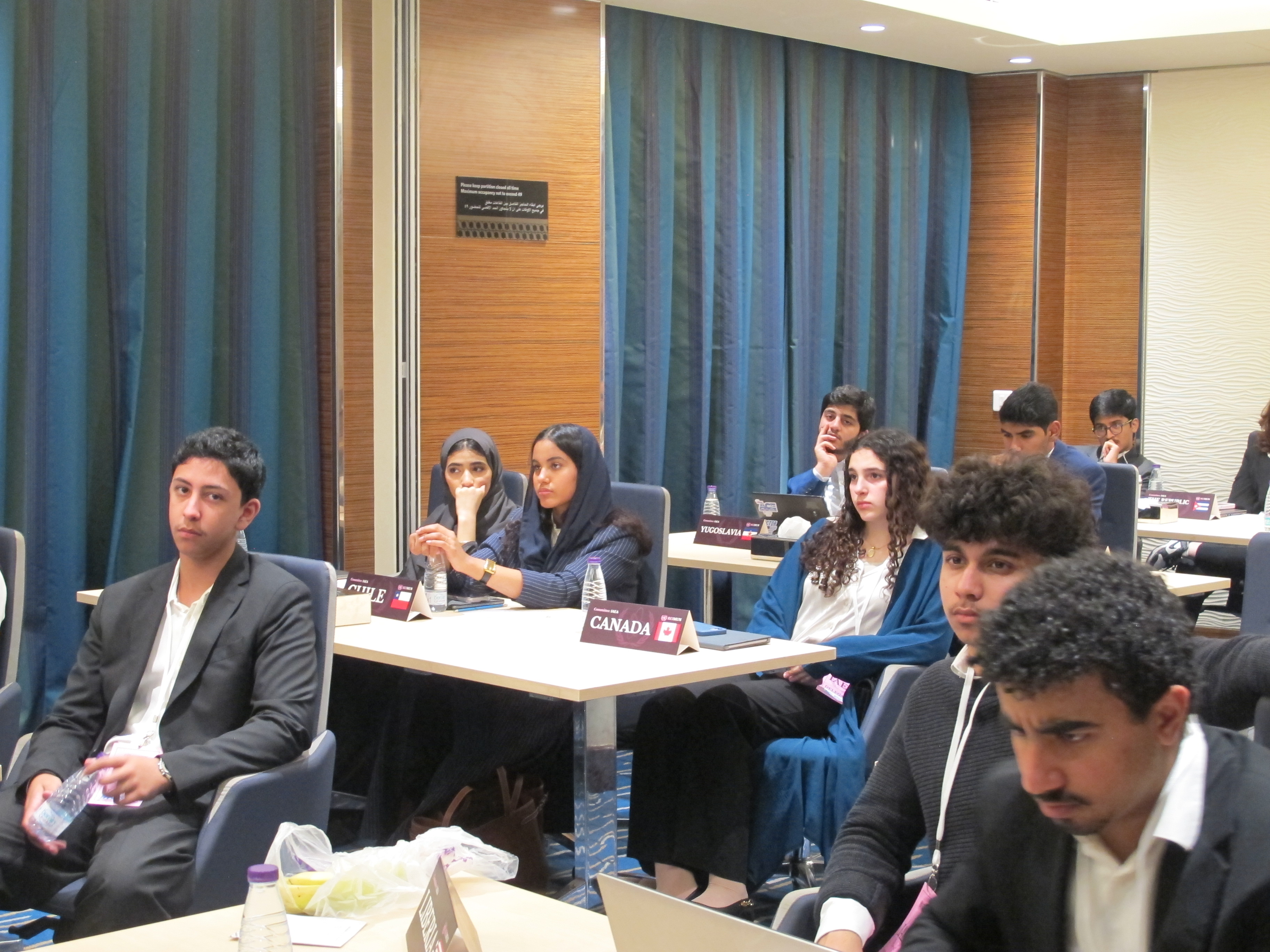 REIMUN I conference photo 10