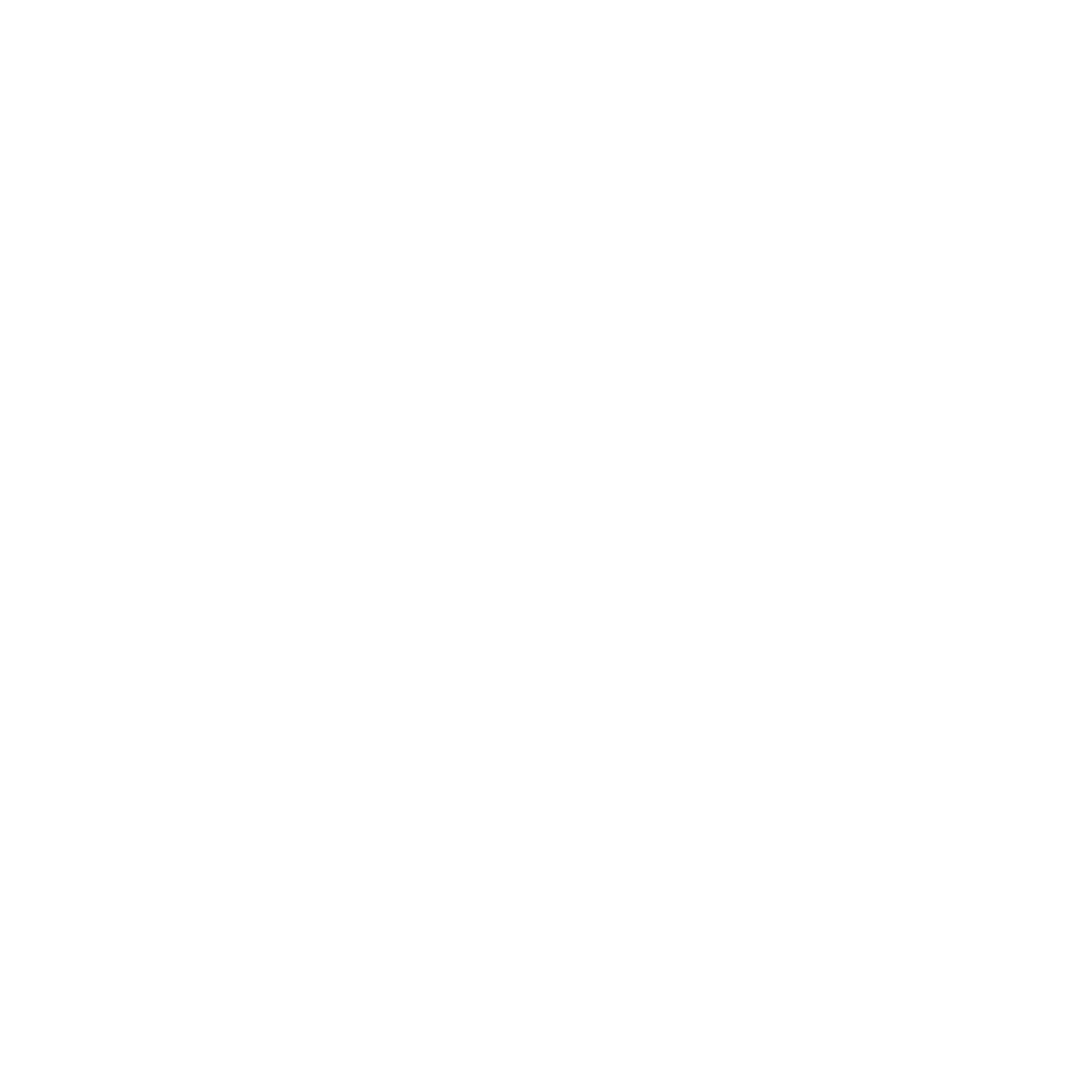 ECOSOC Logo
